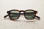 CHAPTER S - TORTOISE / G15