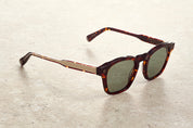 CHAPTER S - TORTOISE / G15